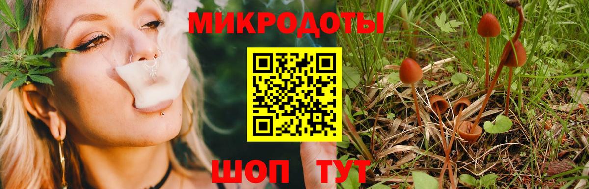 Саратов  Галлюциногенные грибы прущие грибы  купить закладку  Галлюциногенные грибы ЛСД  Вход с VPN 